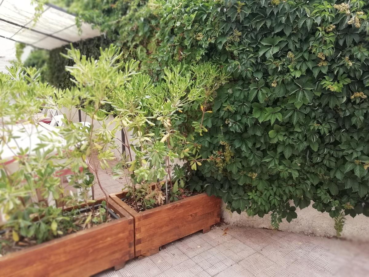 Hotel Noto Marina Stella Marina - B&B Lido di Noto Luaran gambar